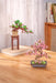 Modern Wooden Puzzle: Evergreen Pine Bonsai - Puzzle Lab