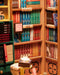 DIY Miniature House Book Nook Kit: Bookstore - Puzzle Lab