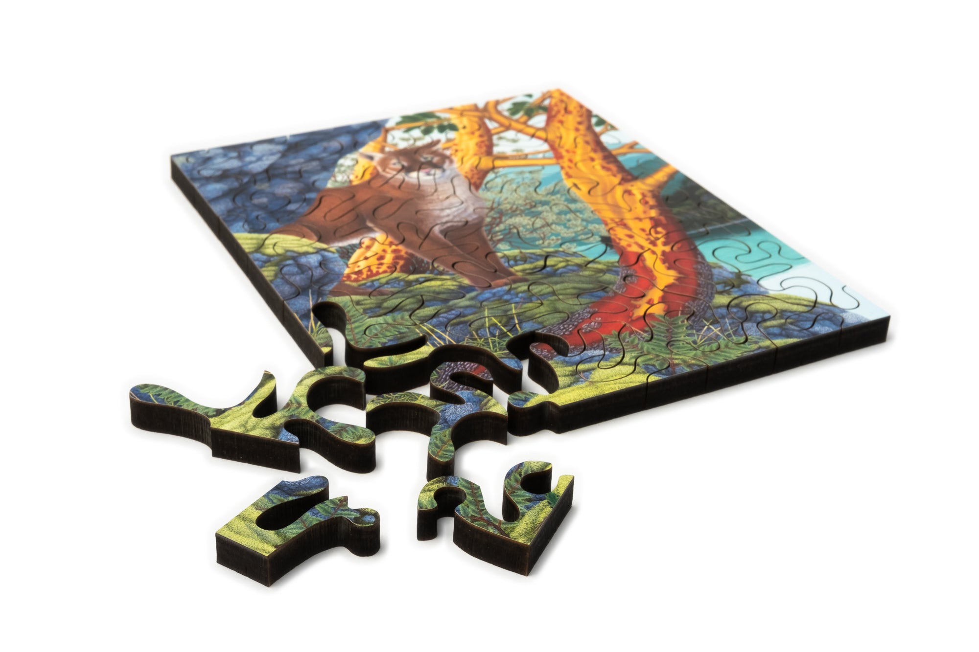 Quiet Paws Mini Wood Jigsaw Puzzle by Mike Semkiw featuring a detailed image of a cat and dog sitting together.