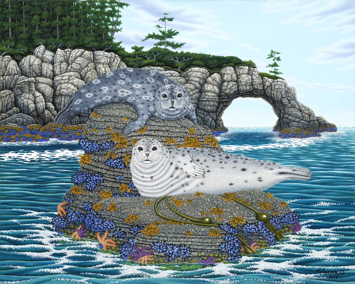 Seals_1200x.jpg?v=1746073071