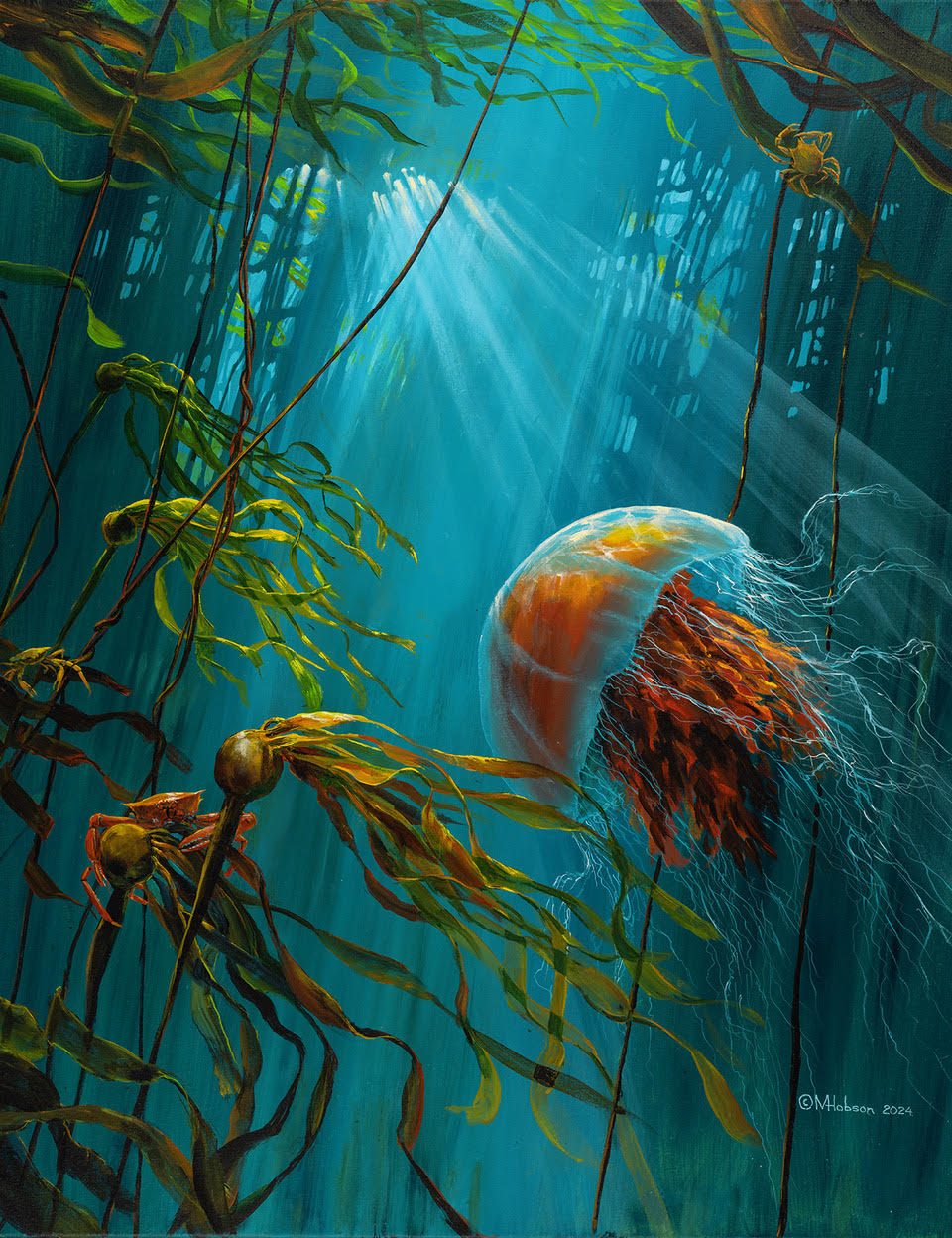 Jelly Dream wood jigsaw puzzle featuring a lion's mane jellyfish in a sunlit kelp forest by Mark Hobson