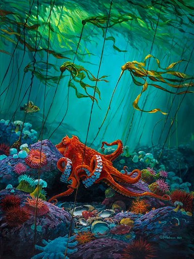 Octopus Garden wood jigsaw puzzle featuring a Pacific giant octopus emerging from its den by Mark Hobson
